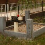 TGY01_2